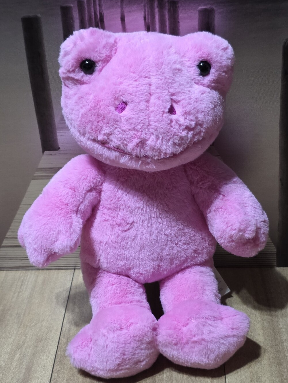 Build-A-Bear Exclusive Pink Frog Buddies Plush
